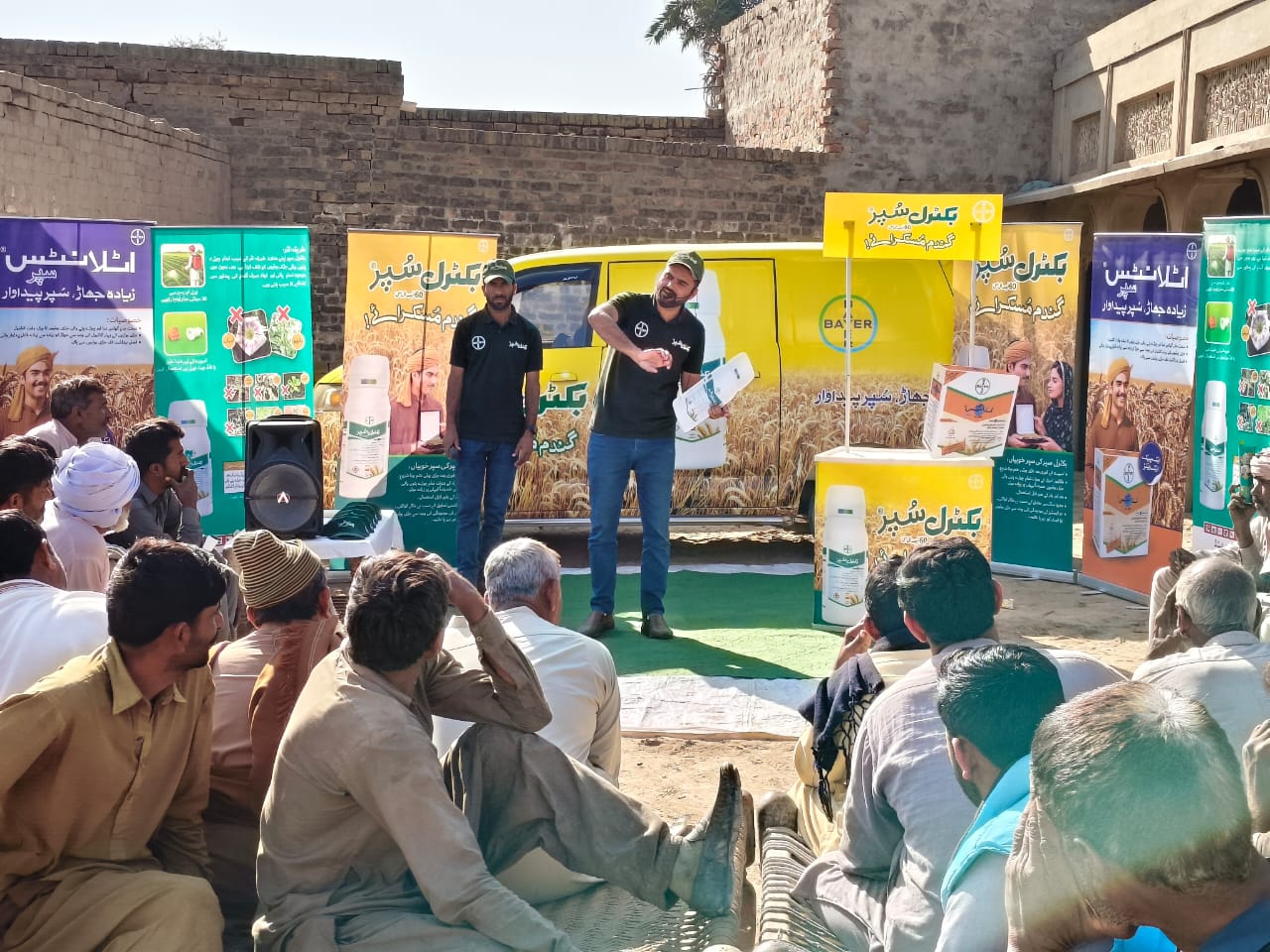 Phalia — Session 6