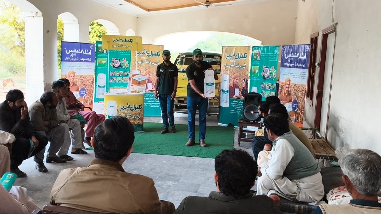 Toba Tek Singh — Chak 262-GB